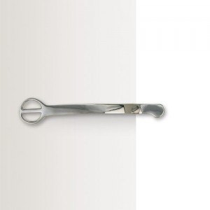 CENTAUR® Stainless Steel Dummy Spurs - Ladies'