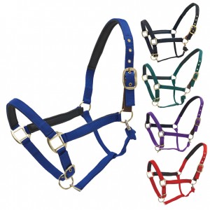 CENTAUR® Super Comfort Breakaway Halter