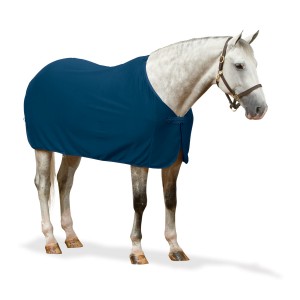 CENTAUR® Turbo-Dry Dress Cooler