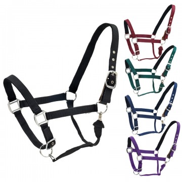 CENTAUR® Solid Cushion Padded Breakaway Halter