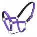 CENTAUR® Solid Cushion Padded Breakaway Halter